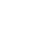 EXPERT DEBT NEGOTIATIONS